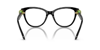 Swarovski Eyeglasses SK2004F