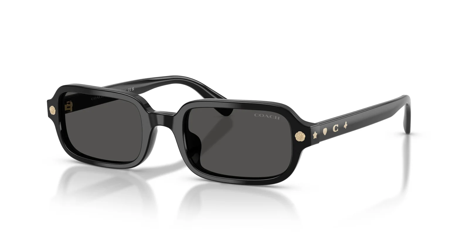 Coach Sunglasses HC8465U