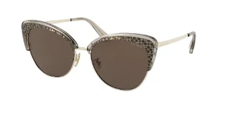 556773 Shiny Light Gold