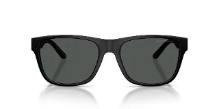 Emporio Armani Sunglasses EA4243F