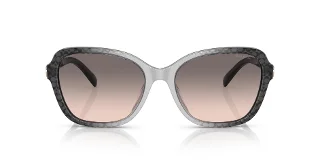 Coach Sunglasses HC8349U