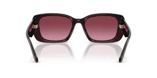 Coach Sunglasses HC8435U