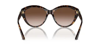 Jimmy Choo Sunglasses JC5007F