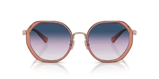 Coach Sunglasses HC7141