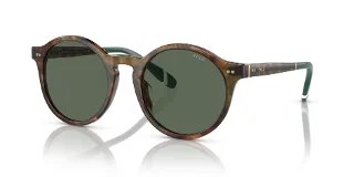 501771 Shiny Brown Tortoise