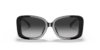 Coach Sunglasses HC8334U