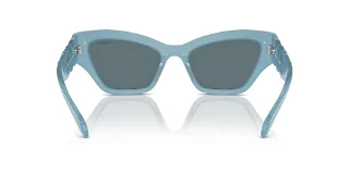 Swarovski Sunglasses SK6021F