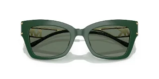 Michael Kors Sunglasses MK2237U