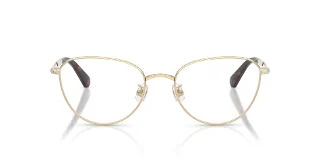 Swarovski Eyeglasses SK1029D