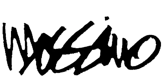 Mossimo