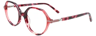030 Cherry Tortoise & Transparent Cherry