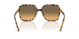 Dolce & Gabbana Sunglasses DG4539