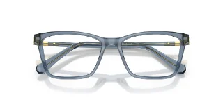 Swarovski Eyeglasses SK2015
