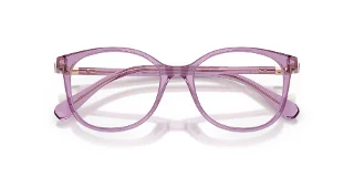 Swarovski Eyeglasses SK2002