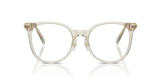 Swarovski Eyeglasses SK2027D
