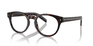 17N1O1 Radica Tortoise