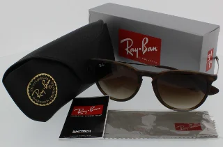 Ray Ban Sunglasses RB4171 Erika