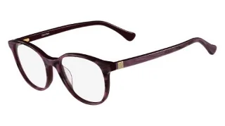 Calvin Klein Platinum Eyeglasses CK5884
