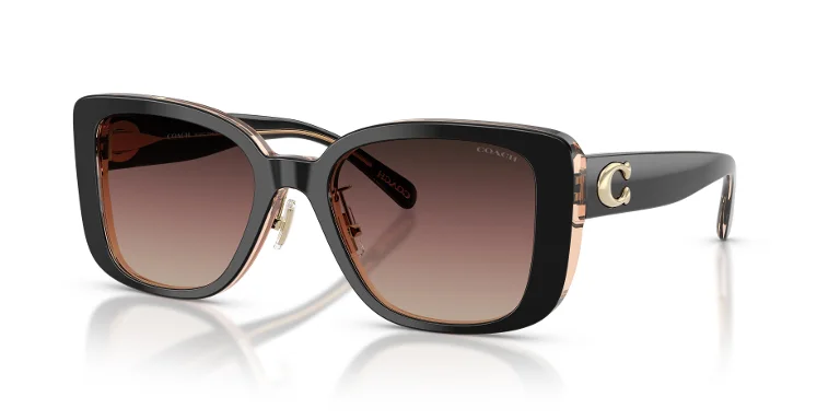 Coach Sunglasses HC8352