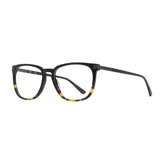 Mp Eyeglasses MP413