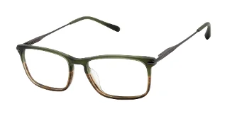 OLI Olive Brown Horn