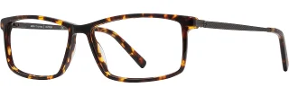C03 Tortoise