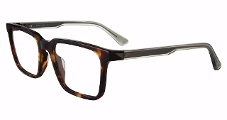 Police Eyeglasses VPLF76