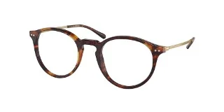 5351 Shiny New Jerry Tortoise