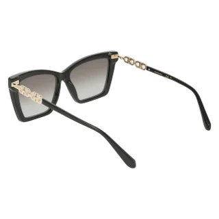 Salvatore Ferragamo Sunglasses SF2112S