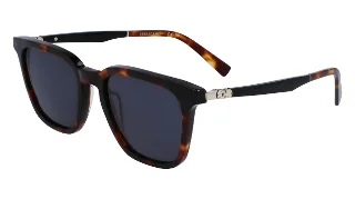 242 Dark Tortoise