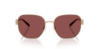 Tory Burch Sunglasses TY6117
