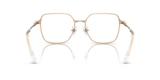 Swarovski Eyeglasses SK1020D