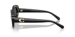 Coach Sunglasses HC8463U