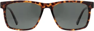 INVU Sunglasses INVU-316