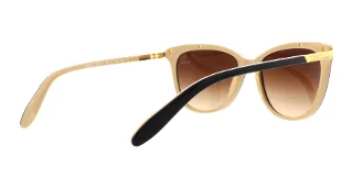 Ralph Sunglasses RA5203