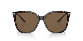 Ralph Lauren Sunglasses RL8209