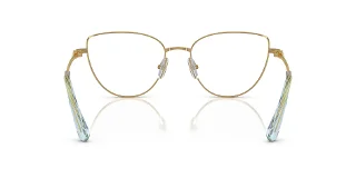 Swarovski Eyeglasses SK1007