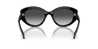 Swarovski Sunglasses SK6005