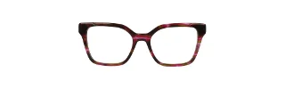 Xoxo Eyeglasses Birmingham