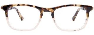 Easyclip Eyeglasses EC494
