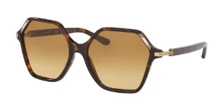 17282L Dark Tortoise