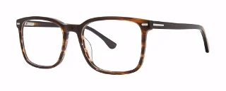 Brown Tortoise
