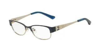 3096 Navy/Shiny Silver