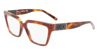214 Tortoise