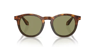 Giorgio Armani Sunglasses AR8192