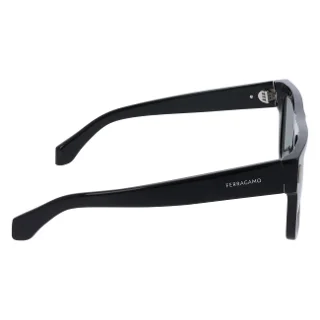 Salvatore Ferragamo Sunglasses SF2063SE
