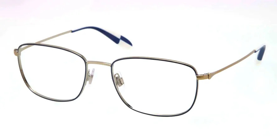 Polo Eyeglasses PH1131