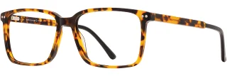C03 Tortoise/Black