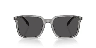 Coach Sunglasses HC8411U