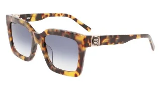244 Tokyo Tortoise